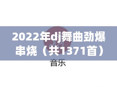 2022年dj舞曲劲爆串烧（共1371首）-免费音乐网