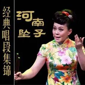河南坠子视频大全-免费音乐网