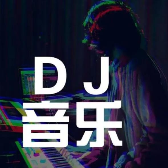 2022年dj舞曲劲爆串烧（共1371首）