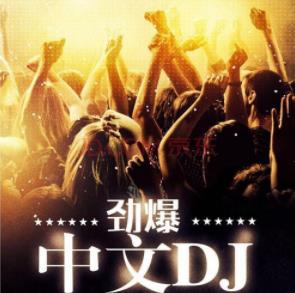 车载抖腿中文DJ高品质合集（MD1电驾）