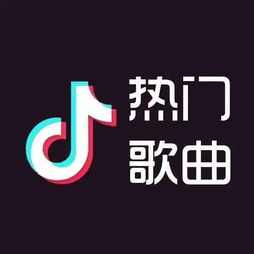 《抖音热门精选音乐歌曲》3000首合集-免费音乐网