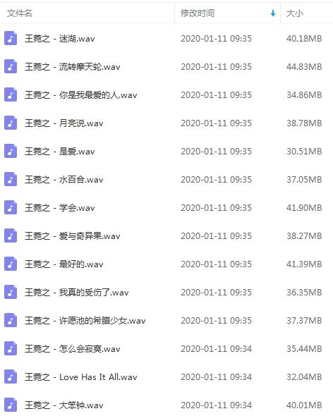 《王菀之》精选14首无损歌曲-免费音乐网